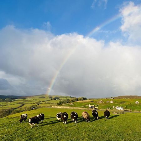 Shepherds View Rhayader Bagian luar foto