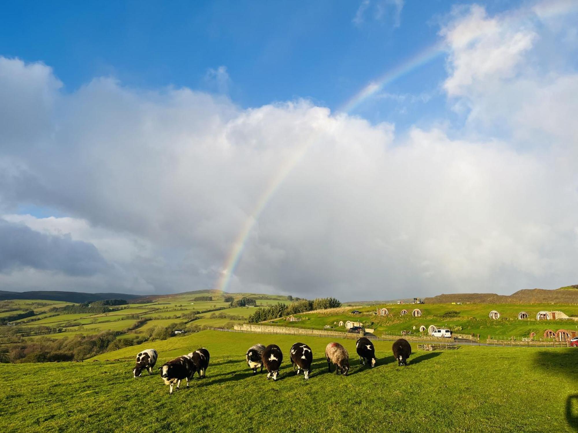 Shepherds View Rhayader Bagian luar foto